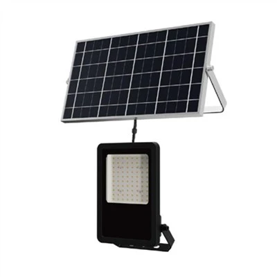 Vigilant Series Solar Flood Light